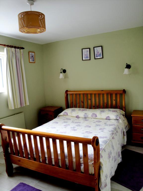 לינה וארוחת בוקר Anascaul Ardrinane House מראה חיצוני תמונה